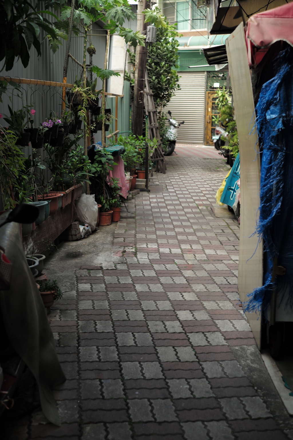 台湾台南路地裏（157）