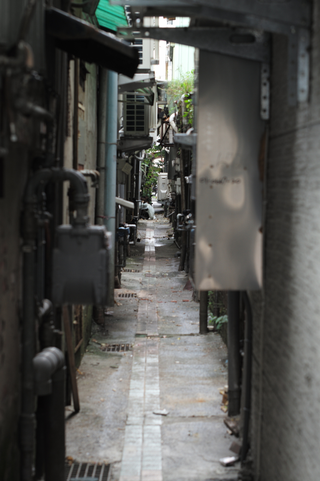 台北路地裏