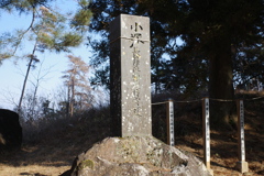 新府城