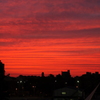 真っ赤な夕焼け