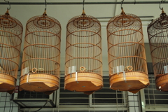 鳥かご