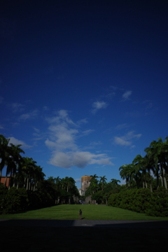 台湾大学