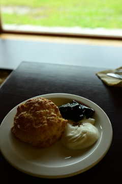 Oracle Coffee