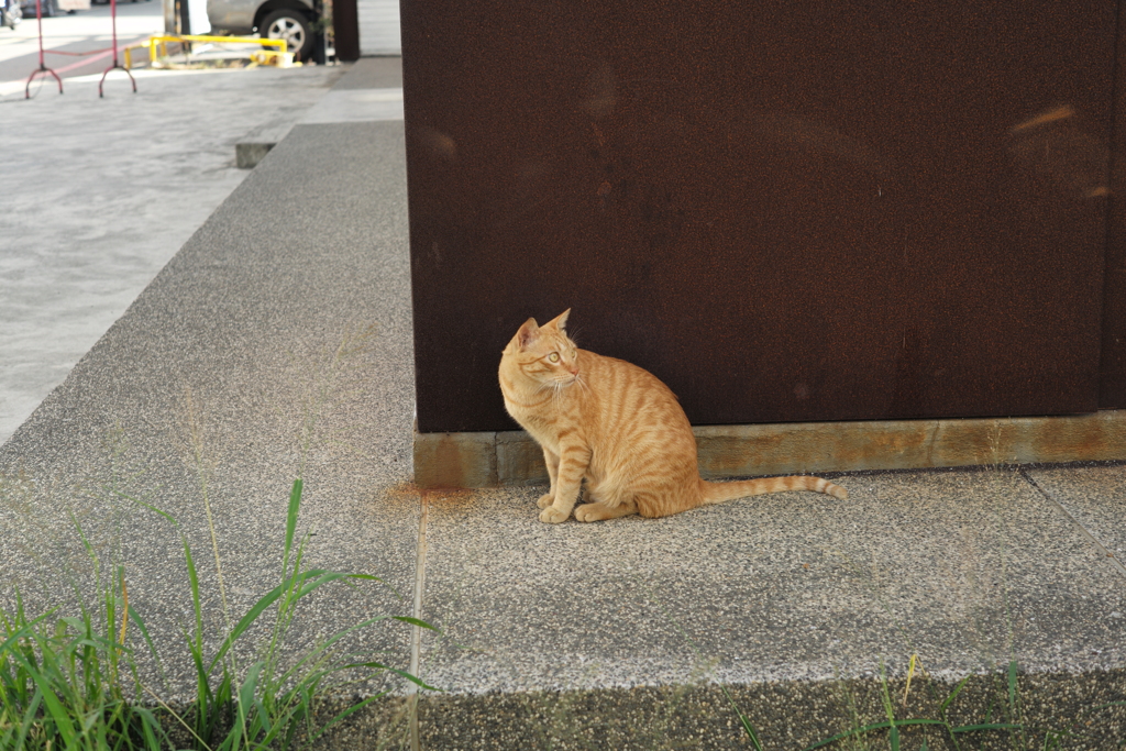 台南スナップ