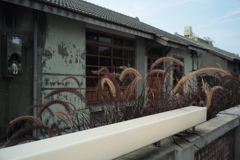 黄埔新村 