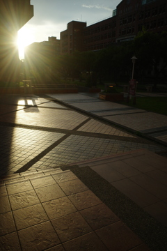 夕暮れ
