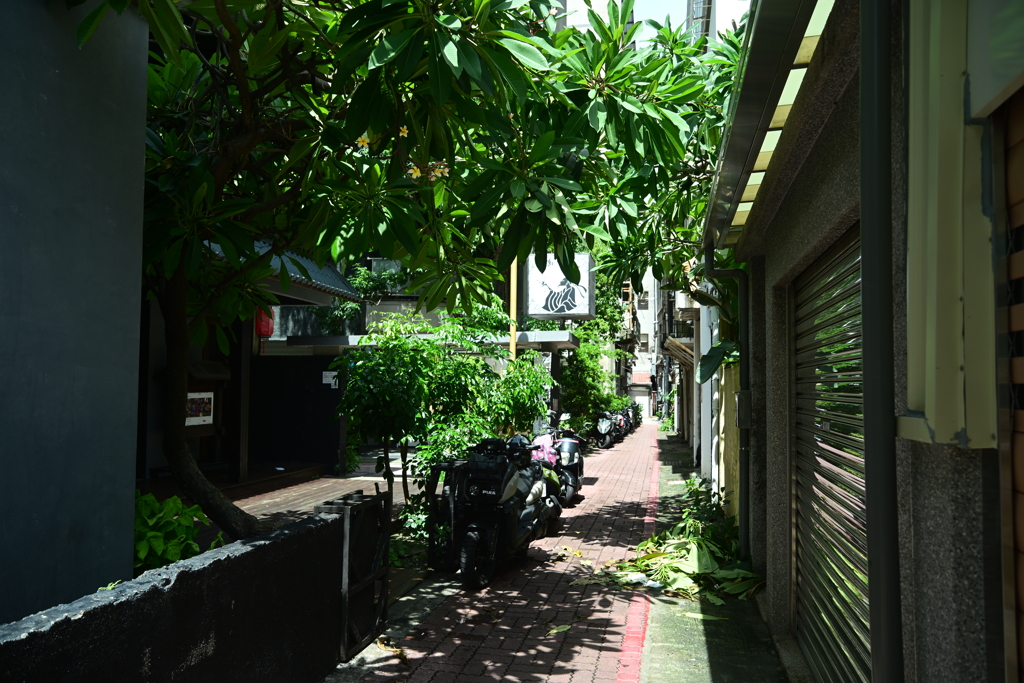 台南路地裏885 