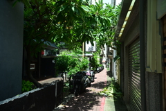 台南路地裏885 