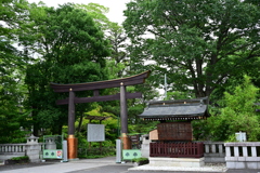 松代スナップ06