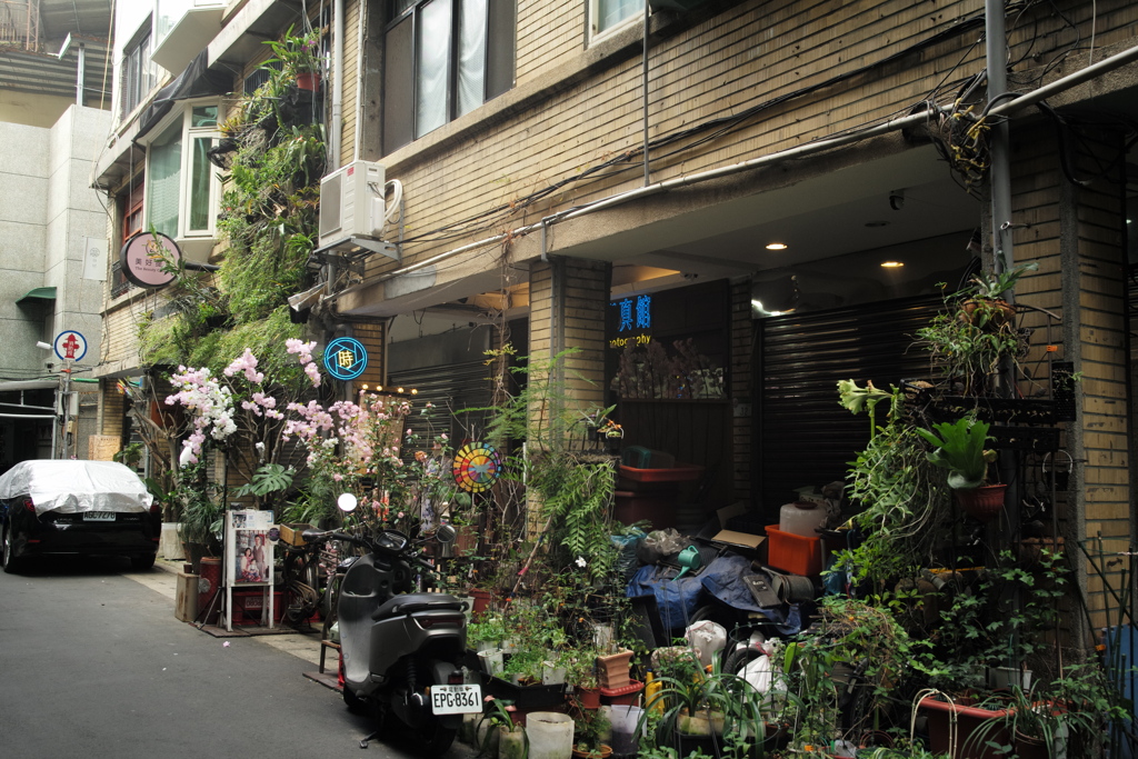 台北路地裏