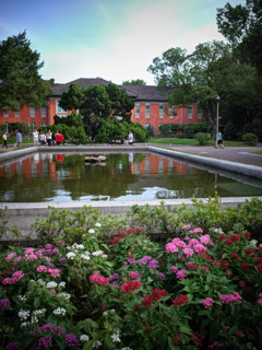 台湾大学