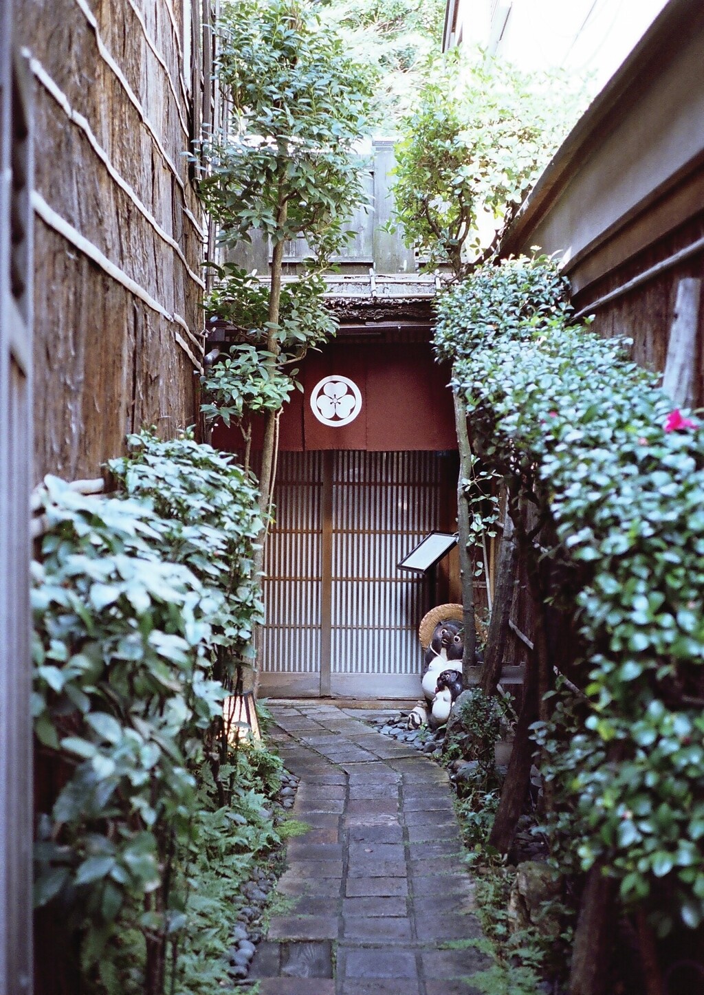 京都（蔵出し）