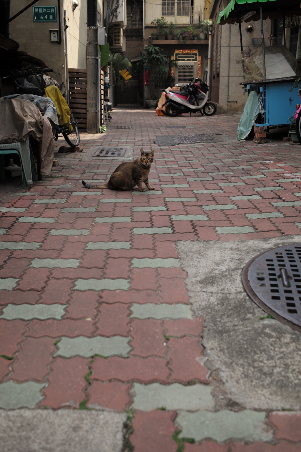 台湾台南路地裏（108）