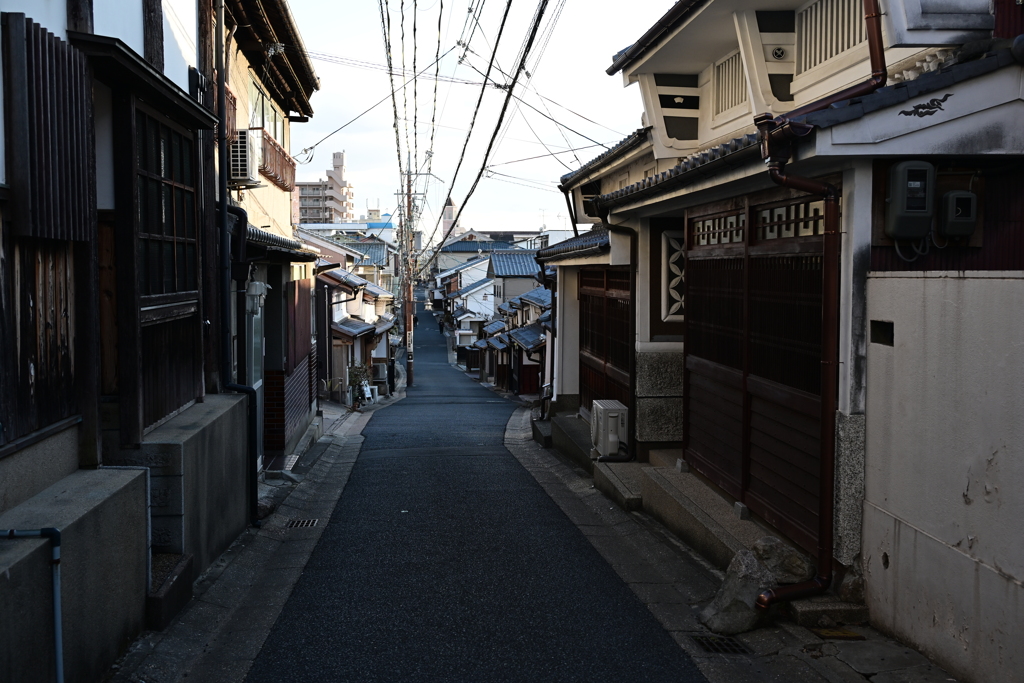 奈良スナップ