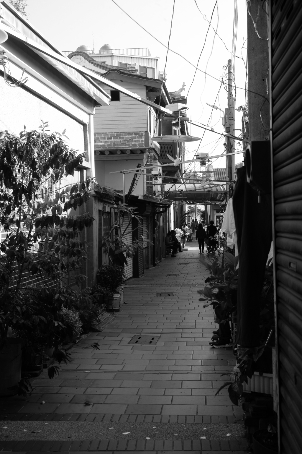塩水08