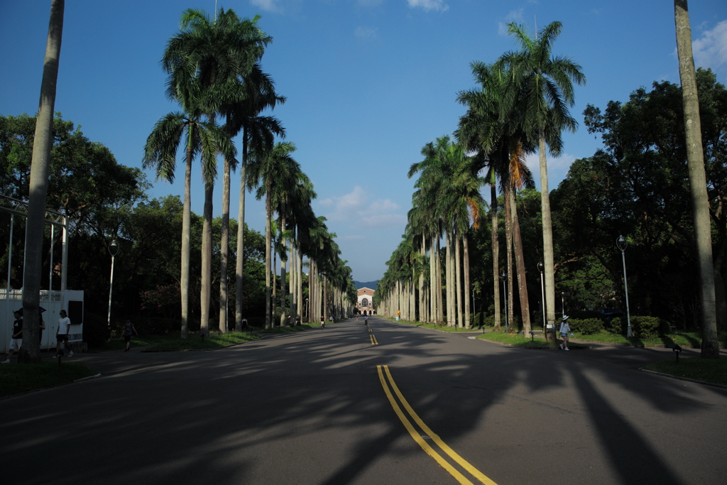 台湾大学