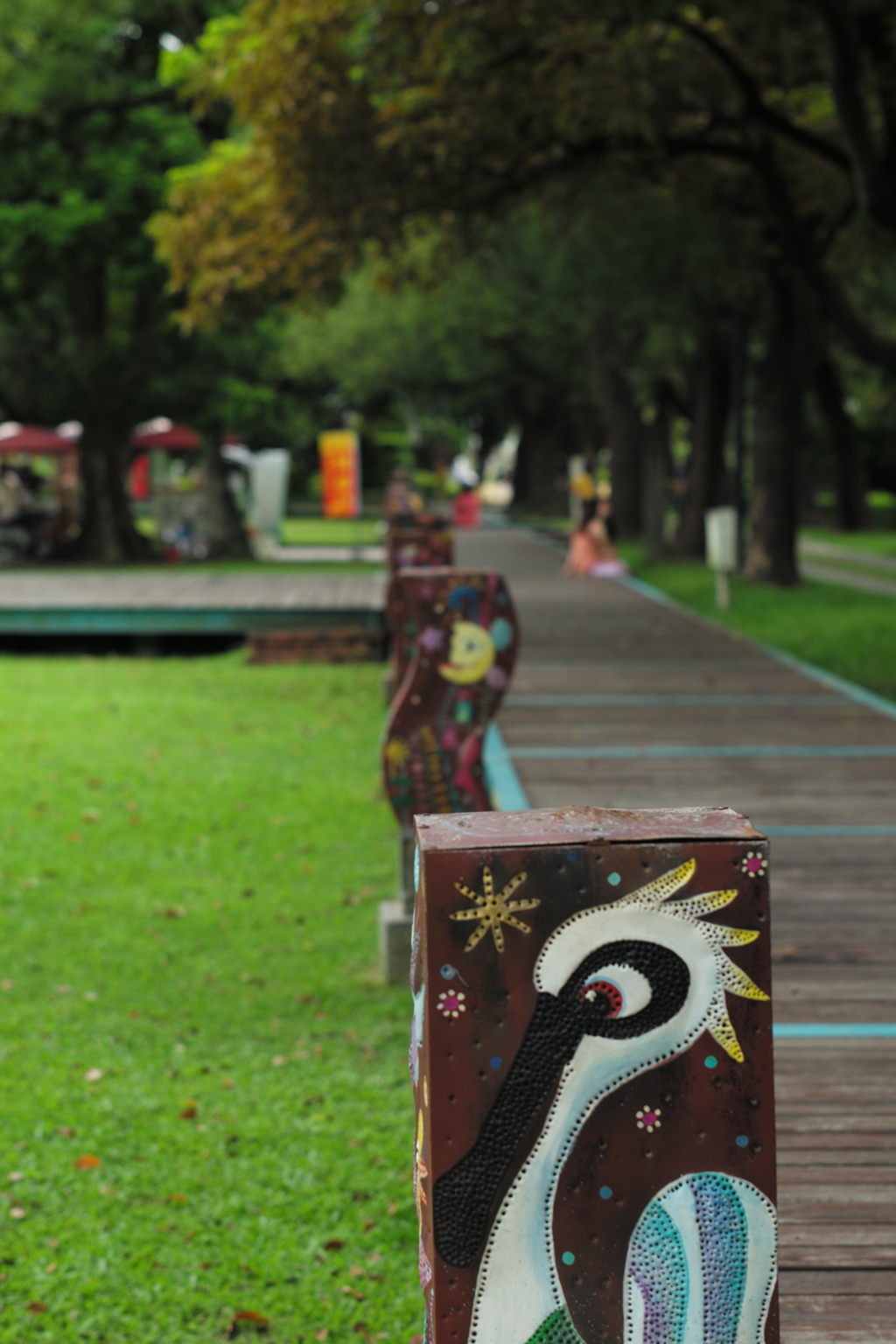 クロツギヘラサギ