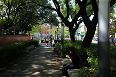 孔子廟横の歩道