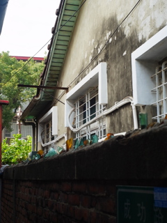 台湾台南路地裏 (5)