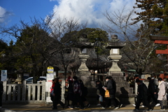 奈良スナップ