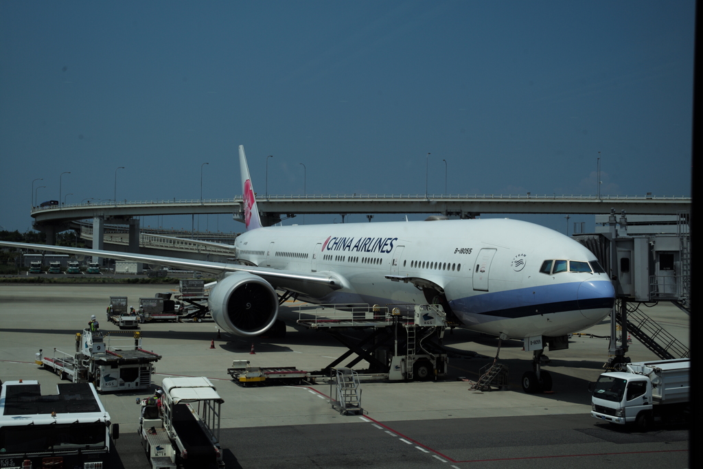 この飛行機でもどりました。