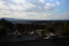 奈良スナップ