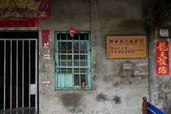 屏東　新埤