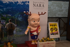 奈良スナップ