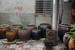 台湾台南路地裏（143）
