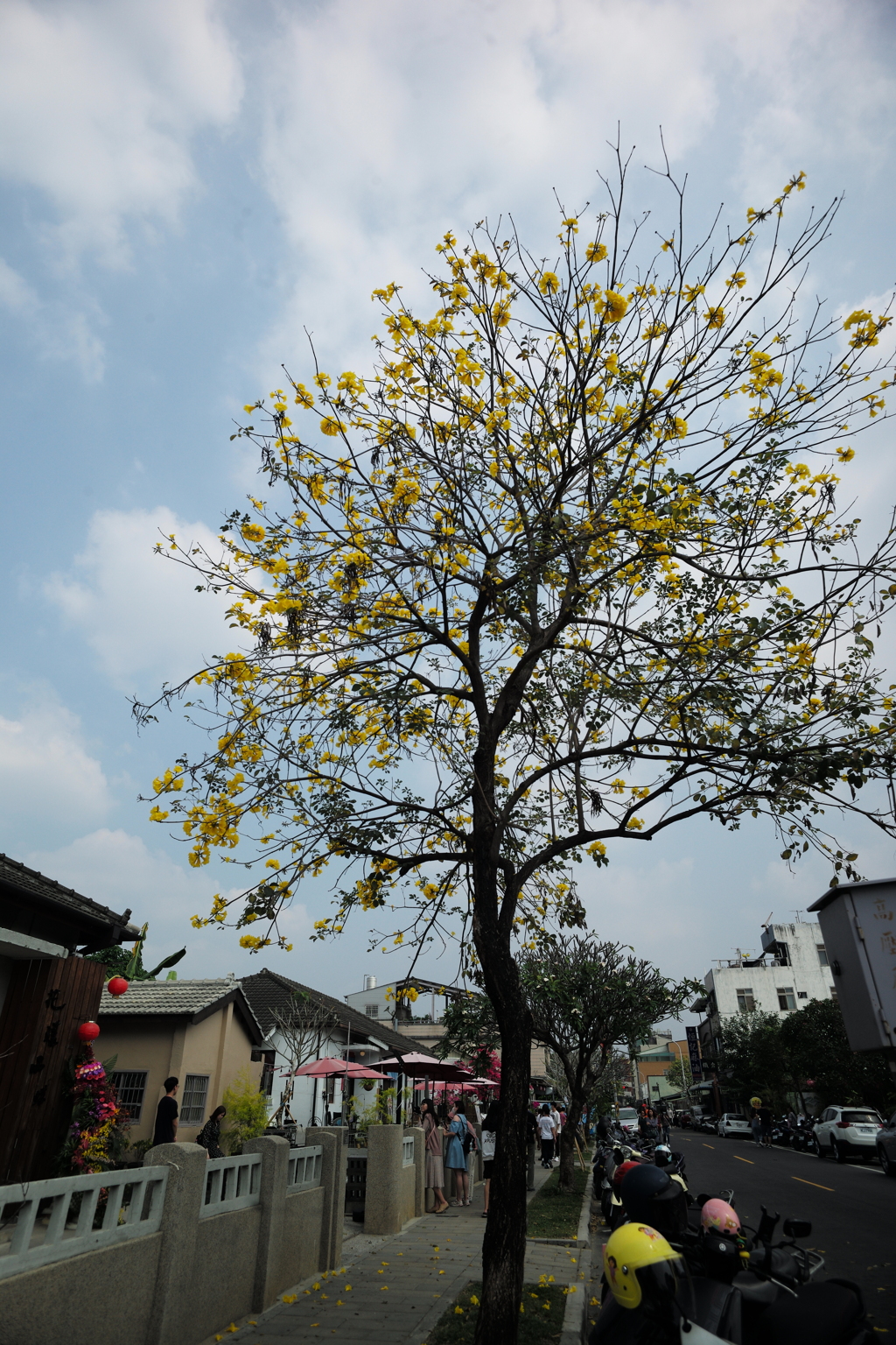 勝利星村創意生活園区07