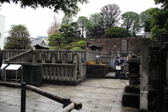 Tokyo Snap19
