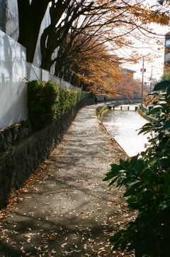 京都　白川沿い