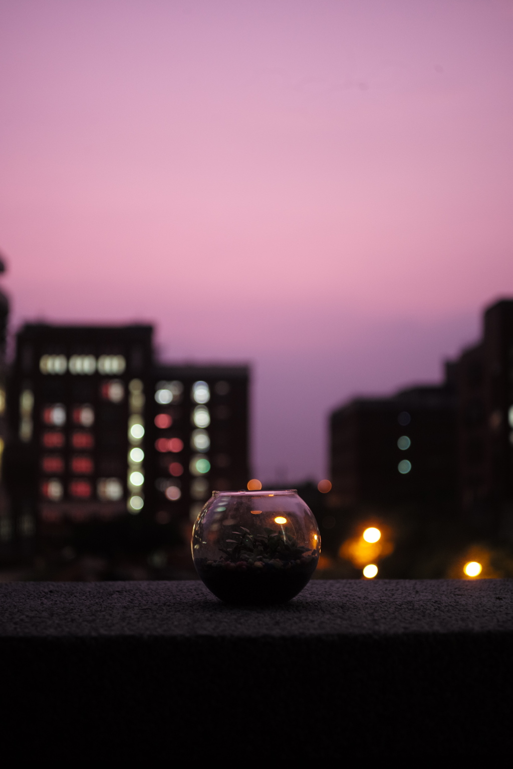 静物