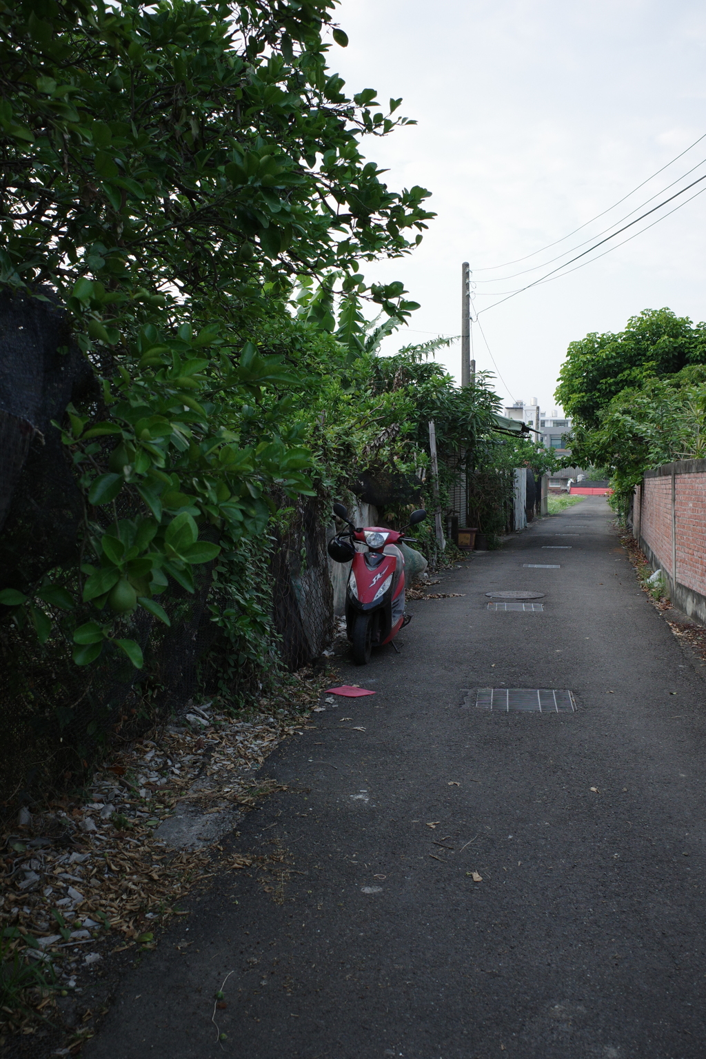 小路02