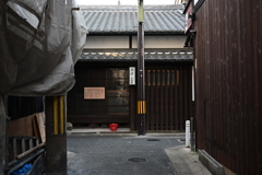 奈良スナップ