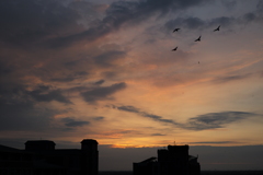 2017年５月29日の夕景