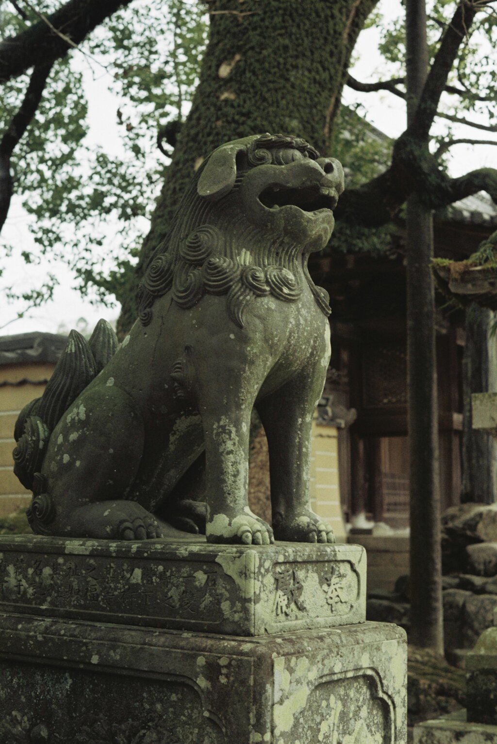 大宰府狛犬