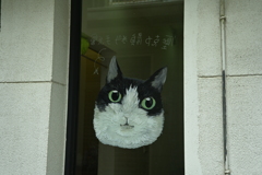 台南スナップ 台南スナップ