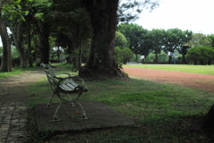 ベンチ
