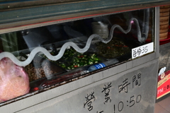 台南スナップ