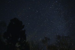 a starry night