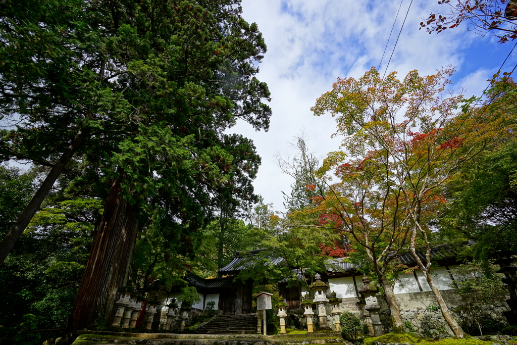 西明寺