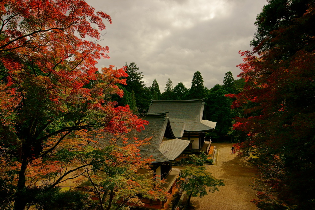 黄昏の神護寺