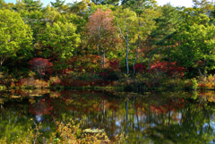 紅葉・・・にはまだ早い
