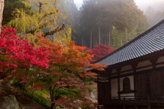 秋の寺