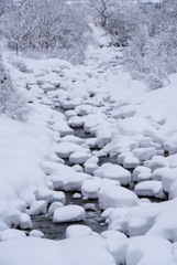 雪見大福