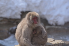 抱っこ