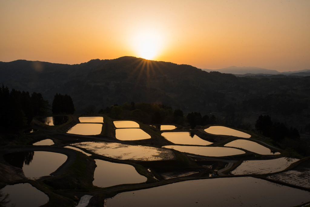 棚田の朝