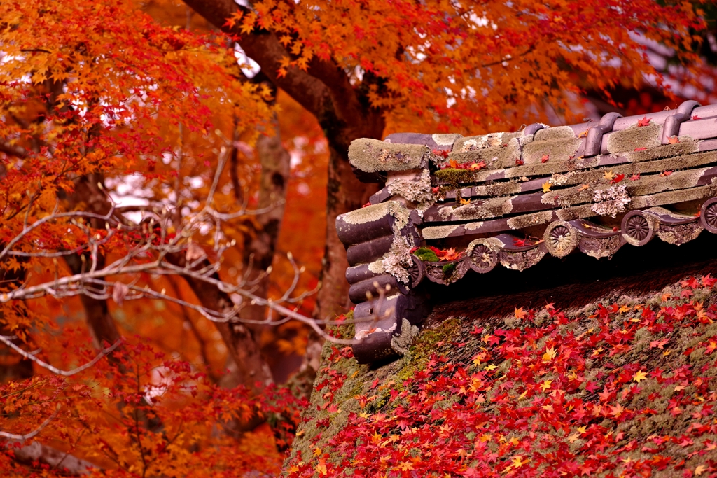 湖南三山　長寿寺　1