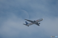 月とB767